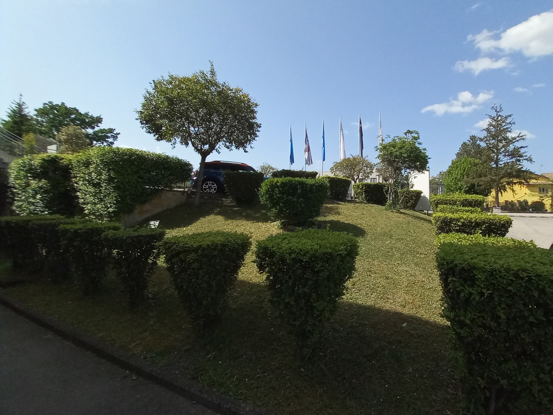 cura-del-verde-7